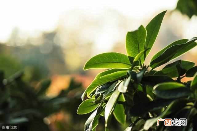 边塞诗有哪些?10首古代边塞诗集锦