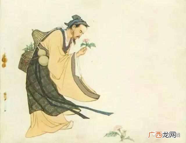 华佗的故事主要讲了什么？医家故事—华佗的故事