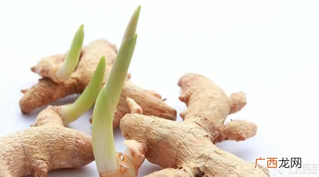 生姜的作用？关于生姜的5个传奇功效！