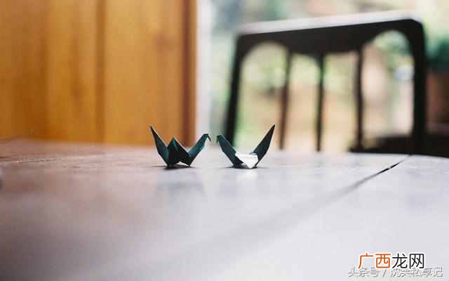 乌鸦为什么像写字台?？你知道为什么乌鸦长得像写字台吗？
