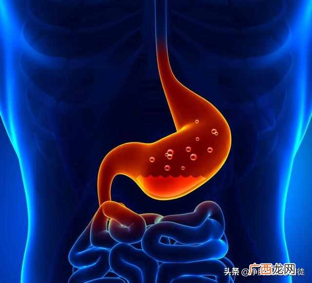 晚上饿是在消耗脂肪吗？科学研究早有定论