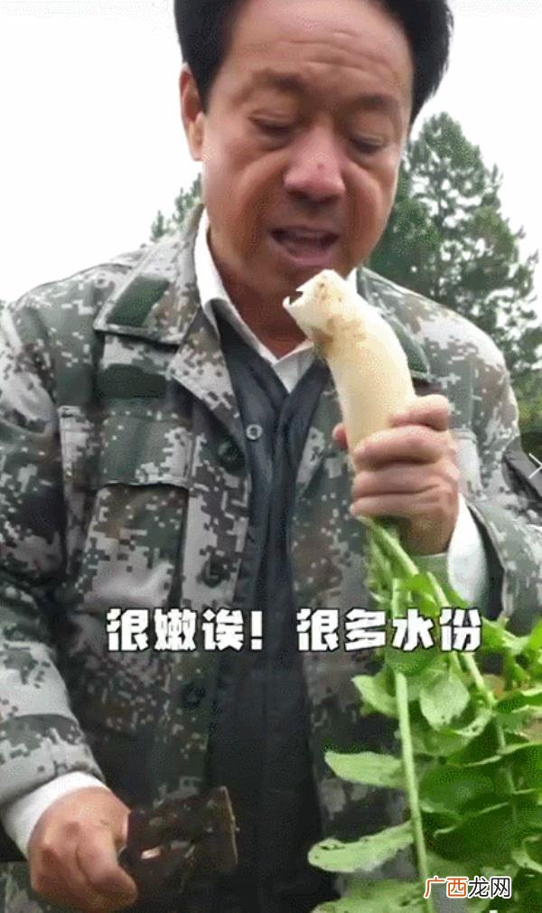 爸退休后每天抖音，退休市长的抖音有多好玩