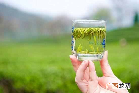 龙井茶怎么泡？懂茶帝提醒5个要点