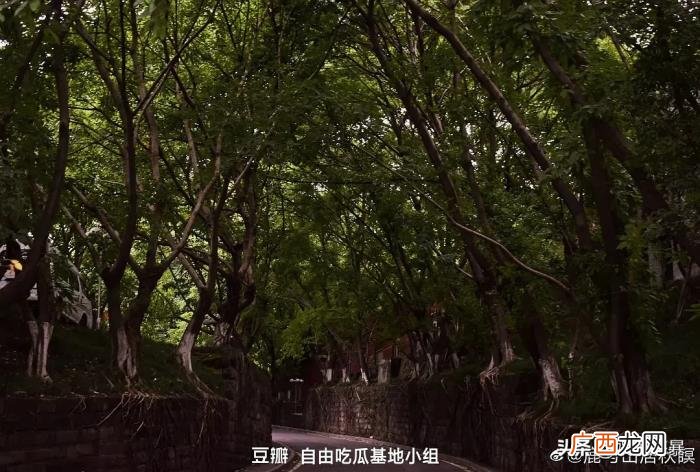 暗恋王俊凯，现实生活中暗恋王俊凯是一种什么样的感觉