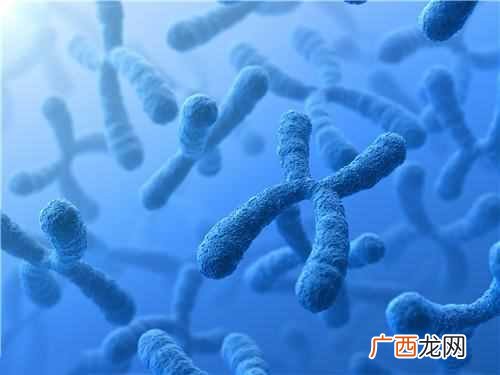 微波炉多久可以杀死病毒细菌？用微波炉能消毒吗