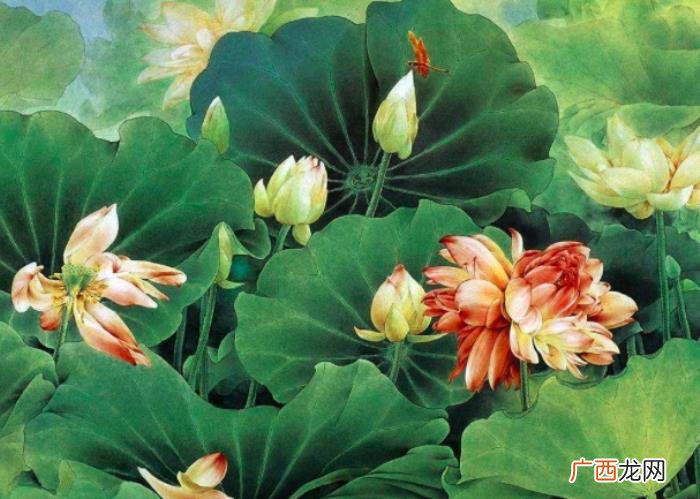 便写出了至死不渝的爱情 至死不渝的爱情