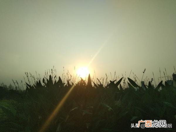爸五十岁生日送什么礼物,写给爱人五十岁生日礼物