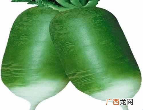 咬萝卜啃春的习俗是怎么来的？＂啃春″习俗的由来