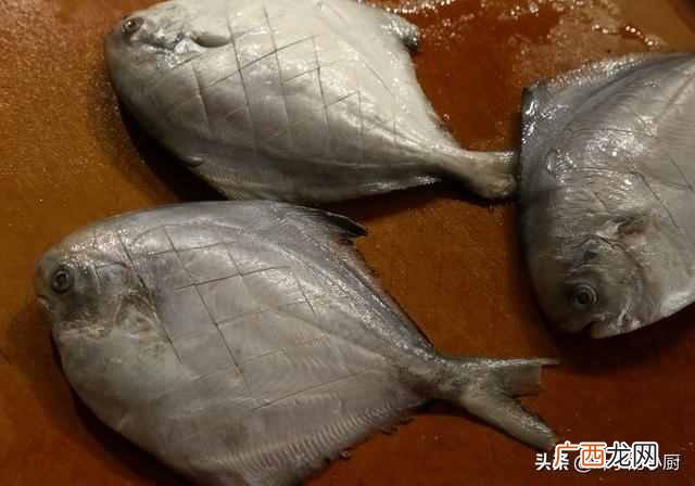 如何烧鱼？怎么烧鱼好吃又简单