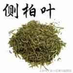 侧柏叶的作用？侧柏叶用法