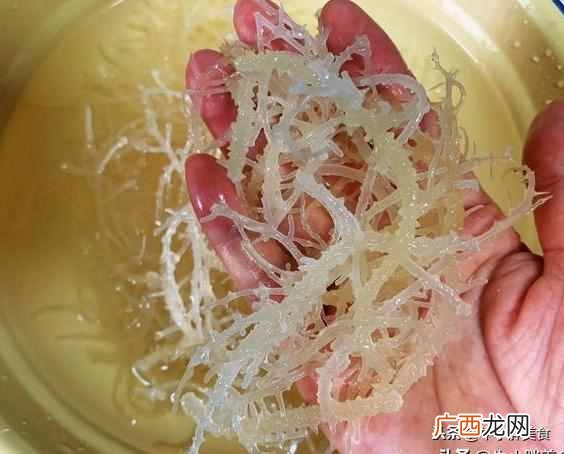 这款形状像柳树根须的是什么菜？