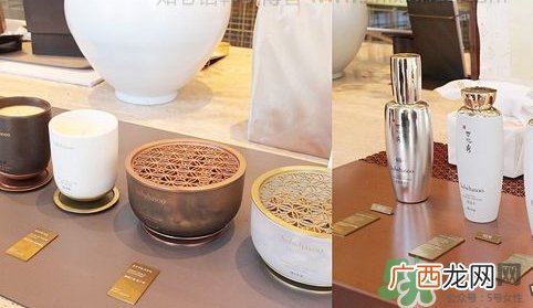 雪花秀润燥精华生肖版怎么样_多少钱_怎么用