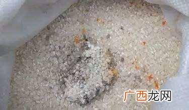 食物部分发霉，没必要扔掉？小心把霉菌吃进肚子里