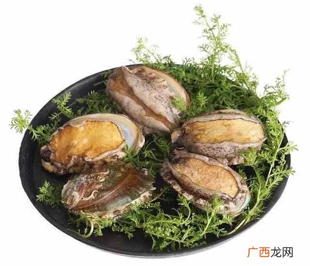 人们吃鲍鱼主要是吃它的什么部位??吃鲍鱼有啥什么要注意?哪里不能