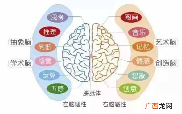 每天坚持朗读的好处？经常朗读的7大好处