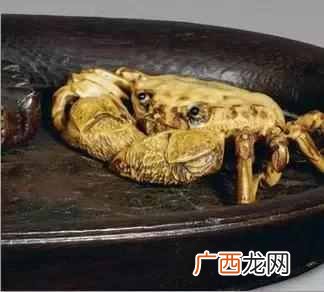 四大名木分别是什么？历史的见证：中国四大名木