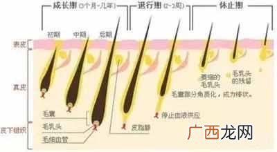如何正确脱毛？5种脱毛方法，哪种最高效安全？