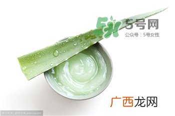 芦荟胶的用法 芦荟胶的妙用