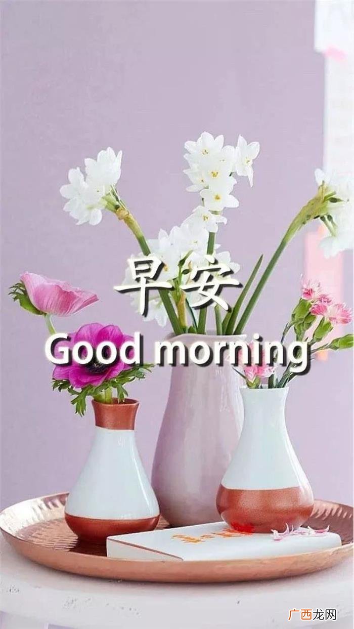最新早安心语简短一句话 一句话早安