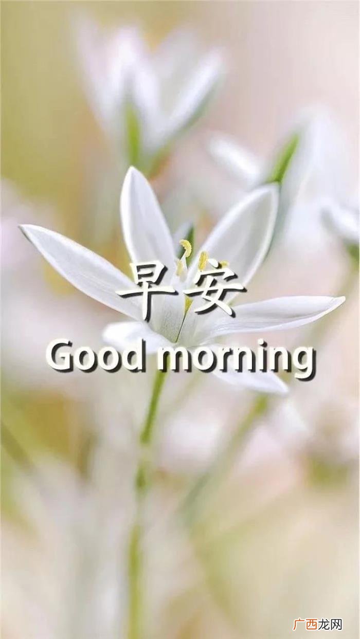 最新早安心语简短一句话 一句话早安