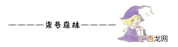 霸道女总裁实力宠夫女尊，女尊之科举宠夫两不误