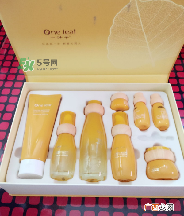 一叶子小苍兰系列怎么样?一叶子小苍兰系列好用吗?