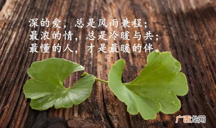 不要轻易离开对你真情的人 人被伤到什么程度才会离开