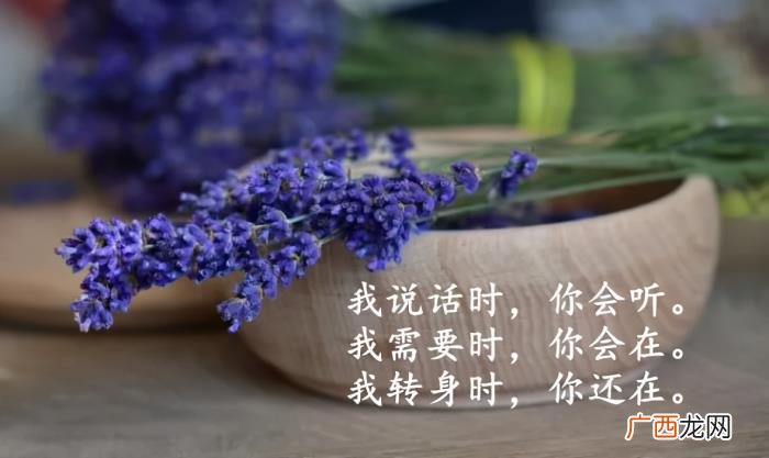 不要轻易离开对你真情的人 人被伤到什么程度才会离开