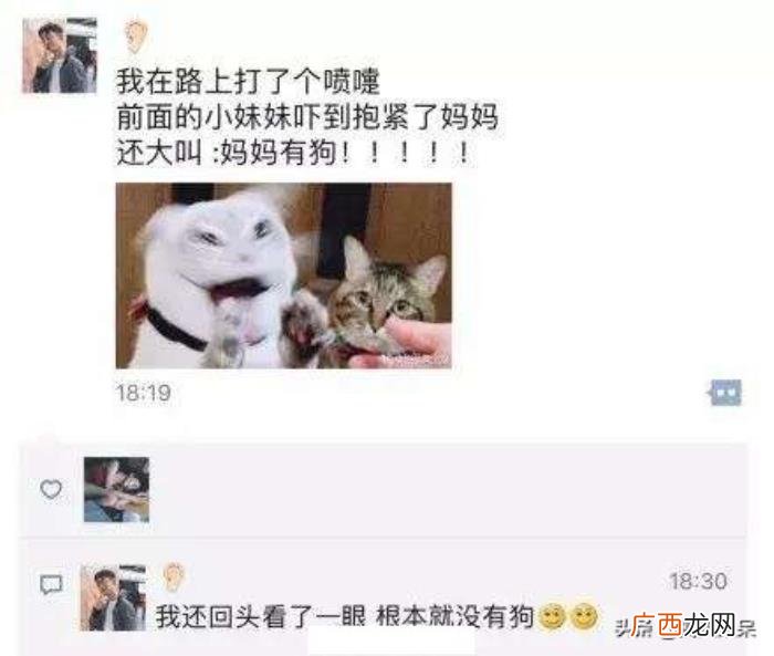 搞笑朋友圈图片那些事 搞笑图片带字的图