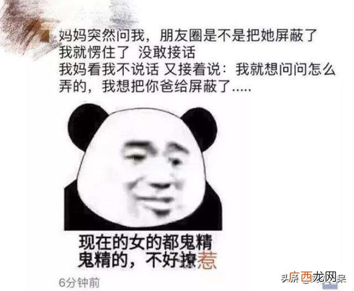 搞笑朋友圈图片那些事 搞笑图片带字的图