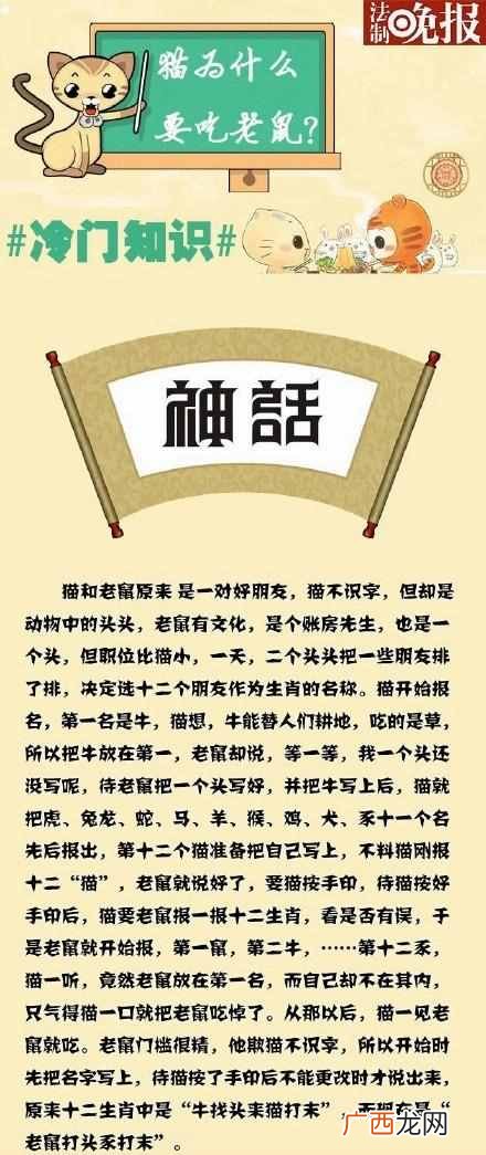 猫为什么要吃老鼠