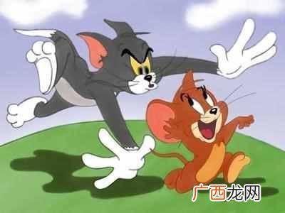 猫为什么要吃老鼠