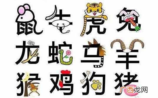 猫为什么要吃老鼠