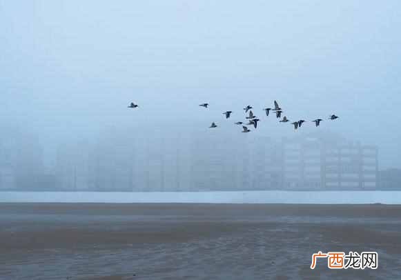 雾是怎么形成的？大雾的形成原因