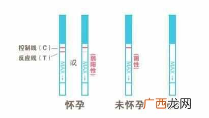 测孕纸怎么看图解?早孕试纸怎么使用?如何准确判断?
