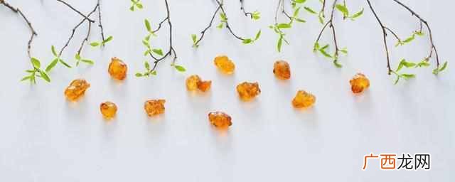 桃胶功效?桃胶的药用价值