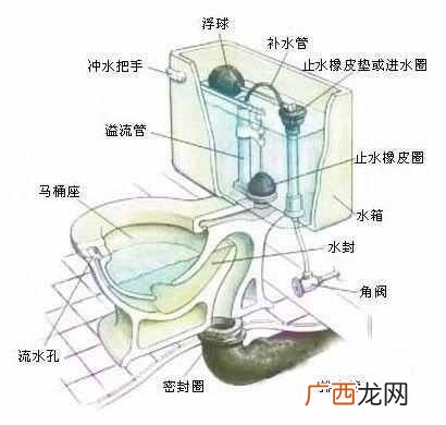 马桶结构图 及故障修理？解剖马桶分析 各种堵塞的解决方法