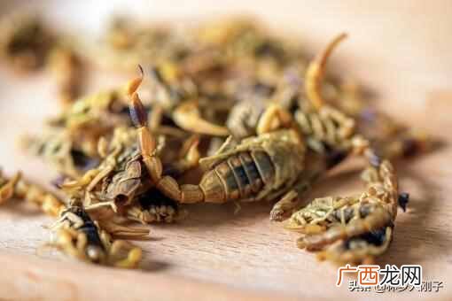 被蝎子蛰了怎么办？被蝎子蛰最有效的办法是什么？