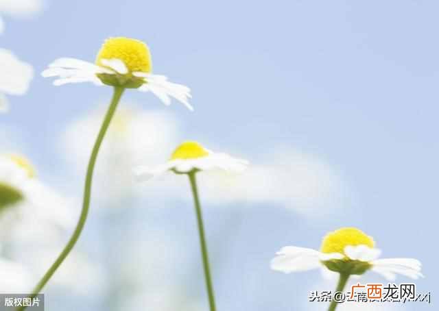 什么是三校生？三校生和普高生有什么区别？