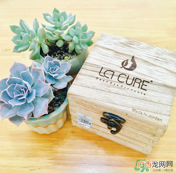 天然死海矿物泥面膜怎么样？天然死海矿物泥面膜好用吗？