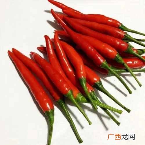 你会有爱上吃苦瓜的一天吗？