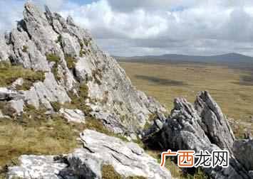 马岛战争阿根廷失败的原因是什么
