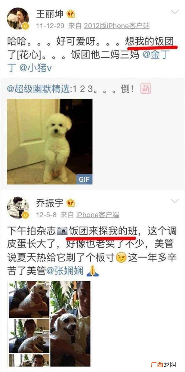 乔振宇的感情生活，乔振宇的做法真的值得广大男性学习
