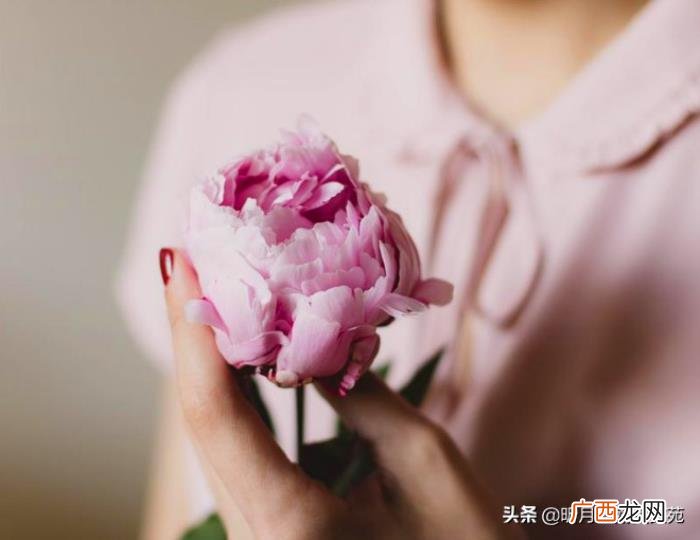 以后愿你我各自安好 愿各自安好不再打扰