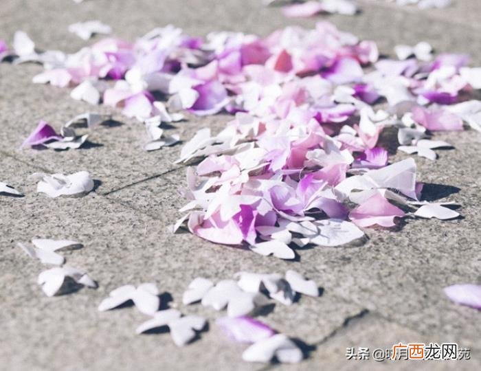 以后愿你我各自安好 愿各自安好不再打扰