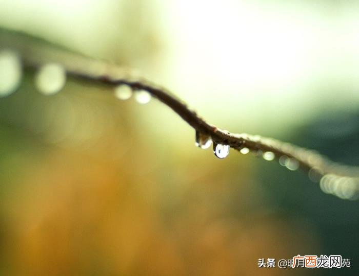 以后愿你我各自安好 愿各自安好不再打扰