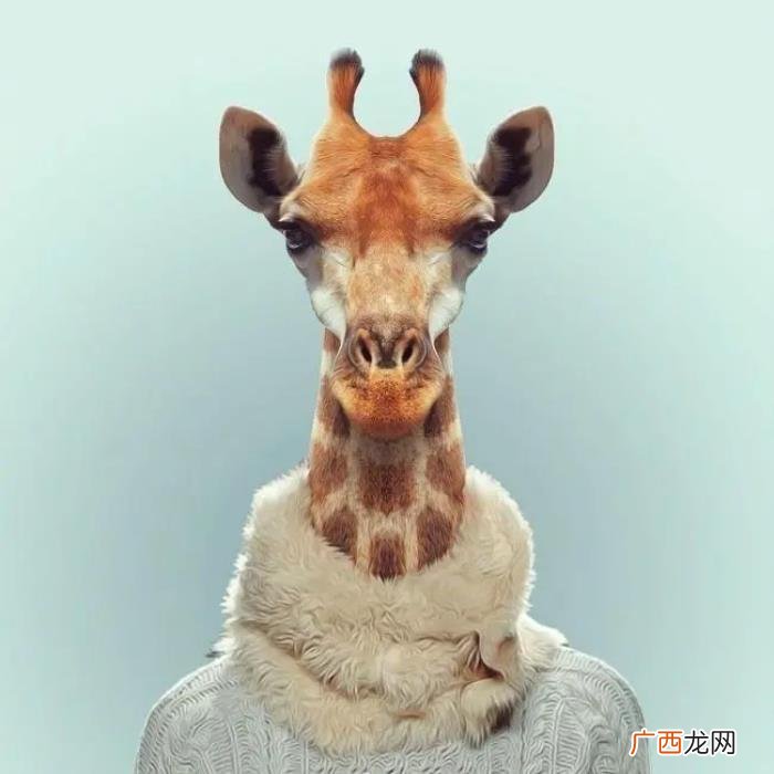 适合写给自己的清醒短句 告诫自己该清醒的句子