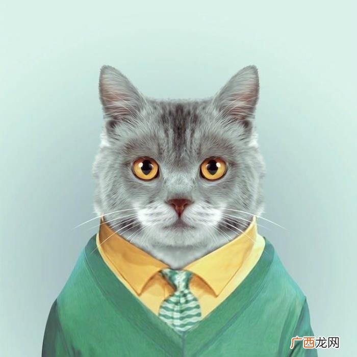 适合写给自己的清醒短句 告诫自己该清醒的句子