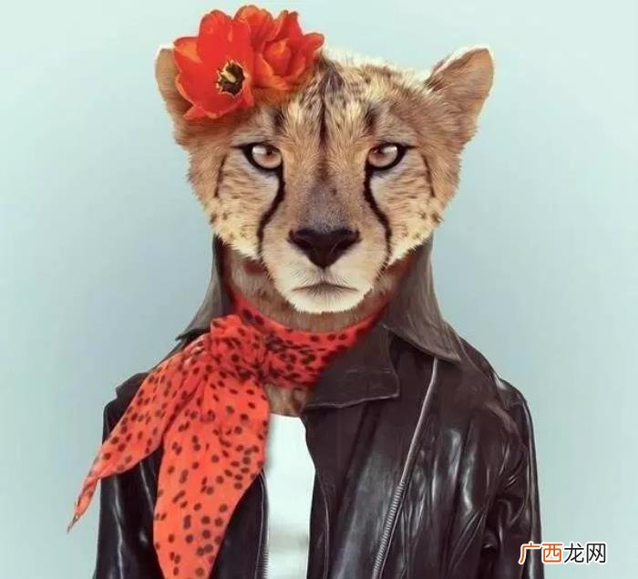 适合写给自己的清醒短句 告诫自己该清醒的句子