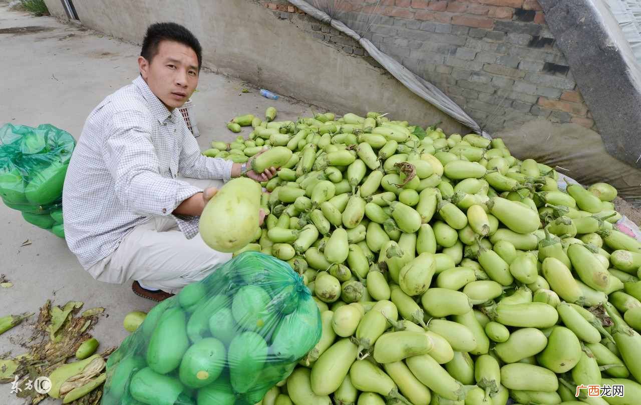农村种植什么最赚钱？在农村，种什么最赚钱